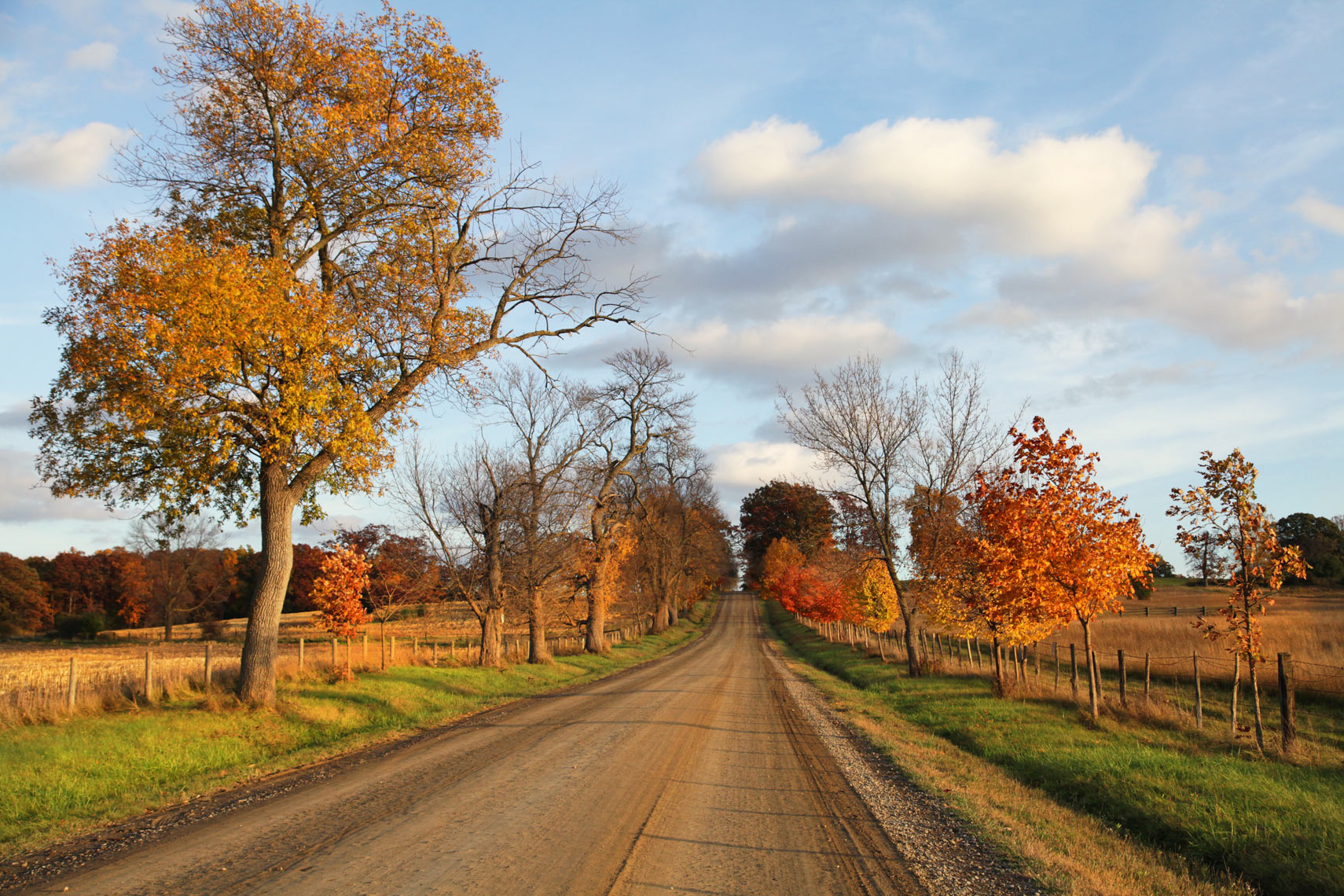 Fall-Dirt-Road-Web