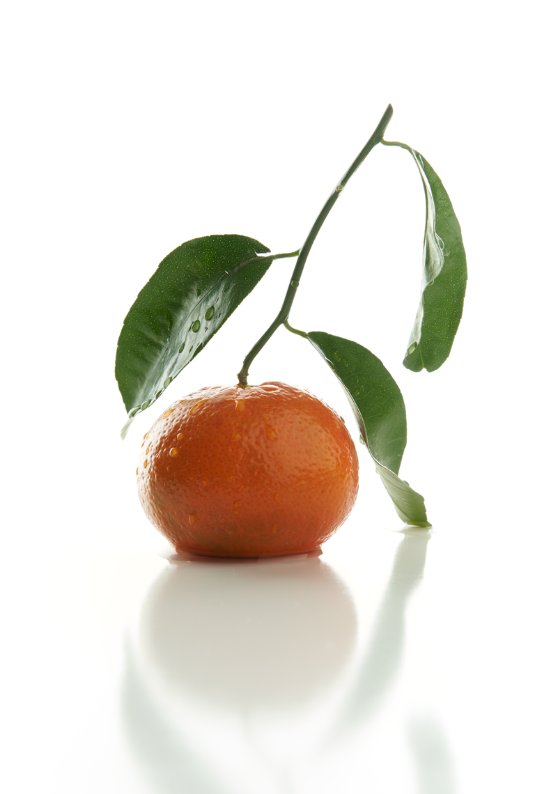 Orange2507-1web