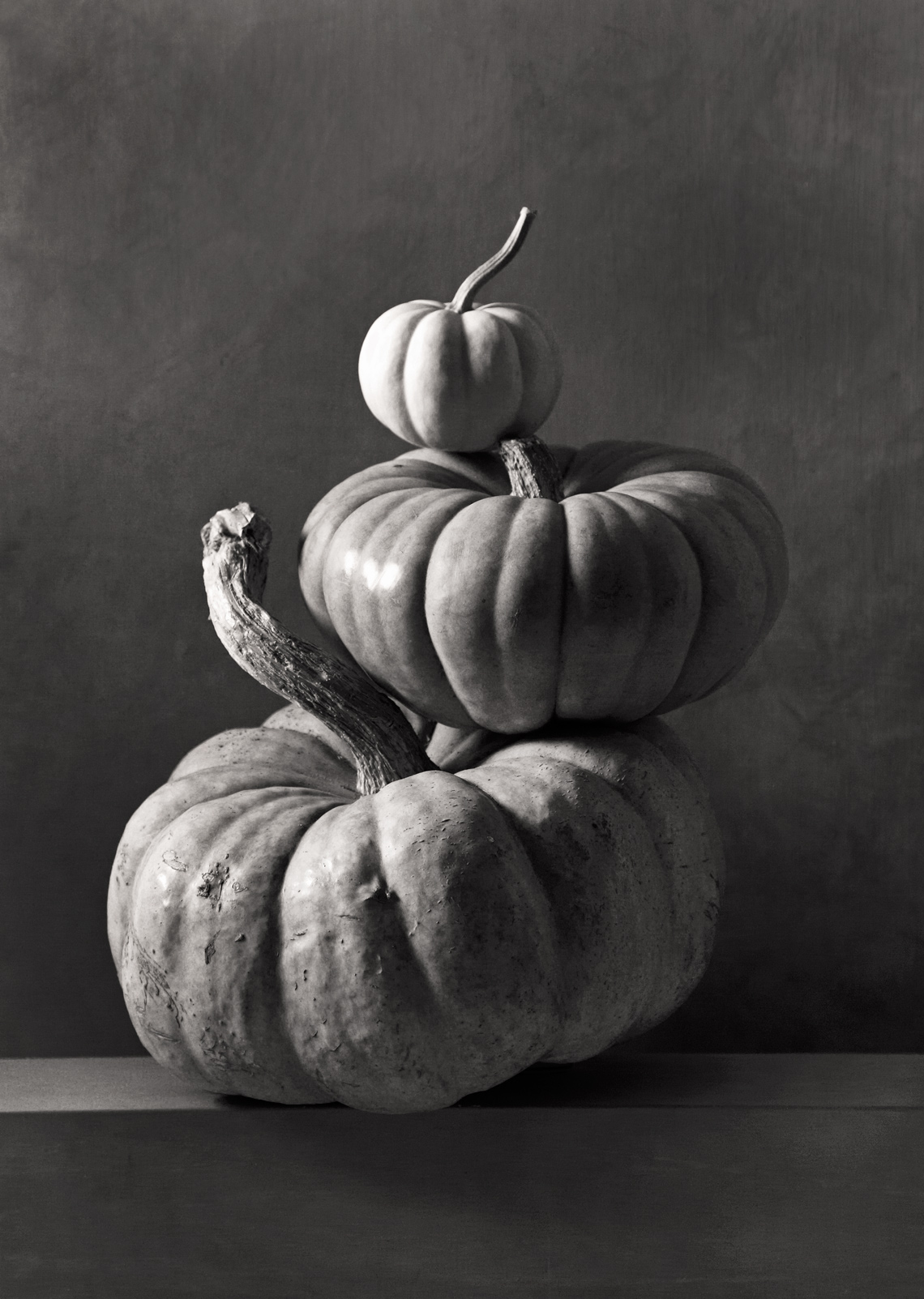 Pumpkins-14-50577web